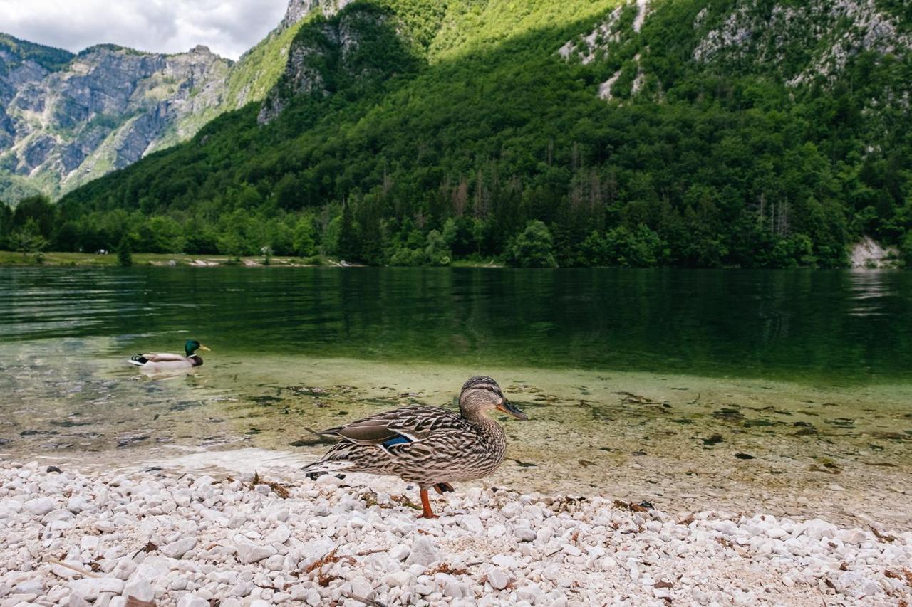 Villa Melody Bohinj Dış mekan fotoğraf